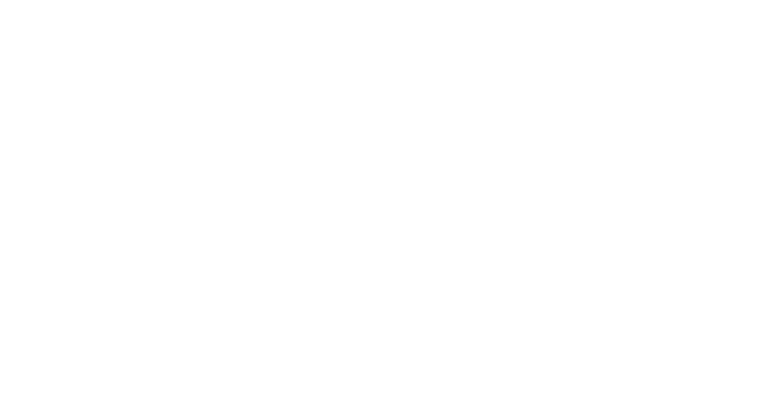The Culture Strategist logo